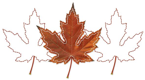 Sample page with a problem