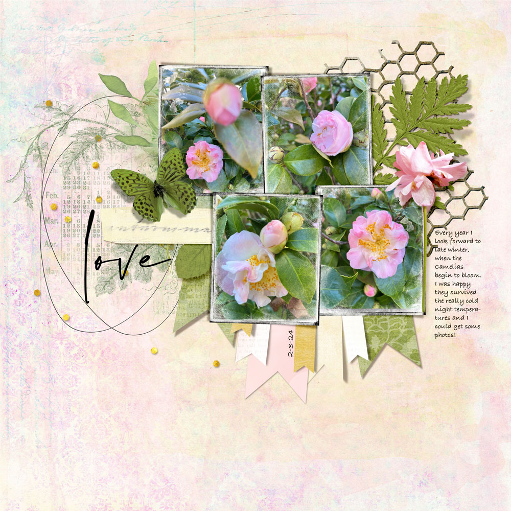 Sample Layout from the Gallery