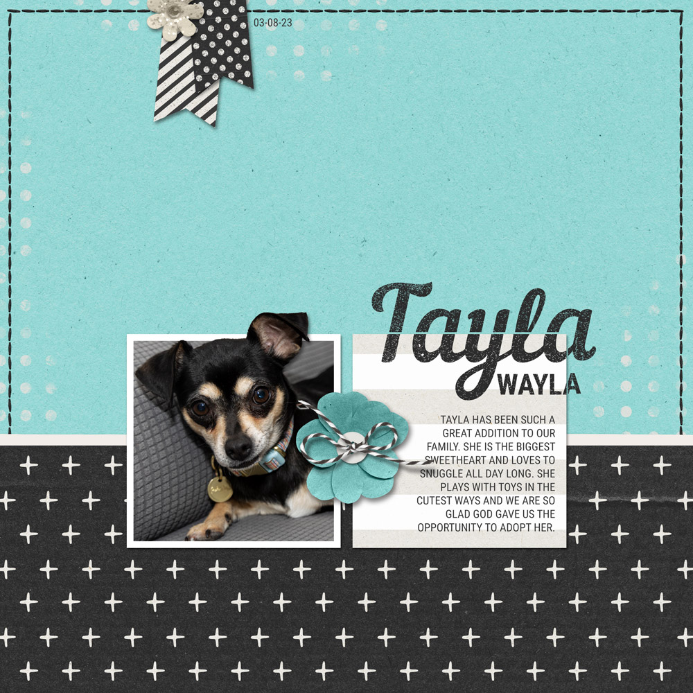 Sample Layout from the Gallery