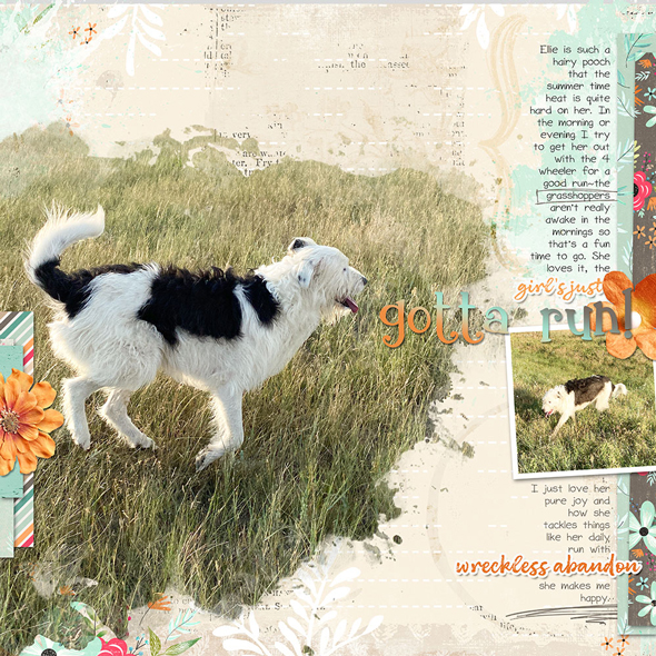 Sample Layout from the Gallery