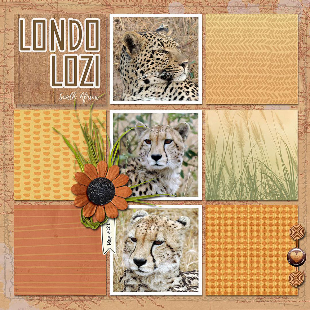 Sample Layout from the Gallery