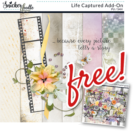 Scrap It Now flash sale