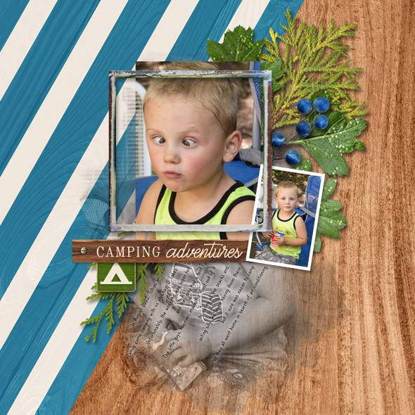 Sample Layout from the Gallery