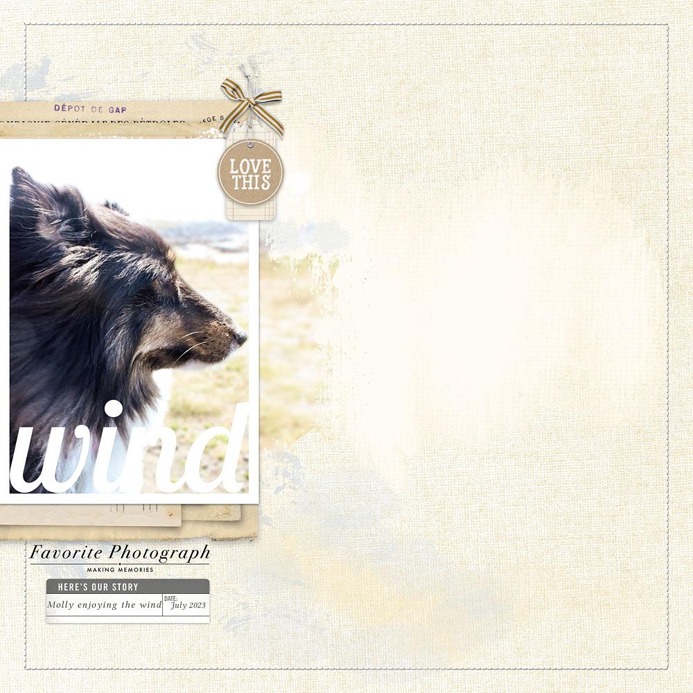 Sample Layout from the Gallery