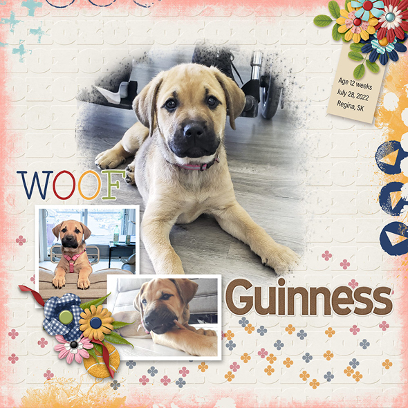 Sample Layout from the Gallery