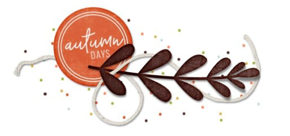 Cluster Challenge Image