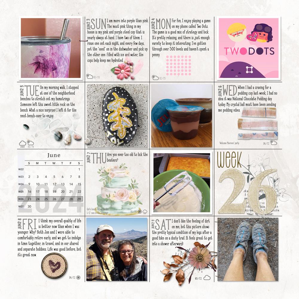 Sample Layout from the Gallery