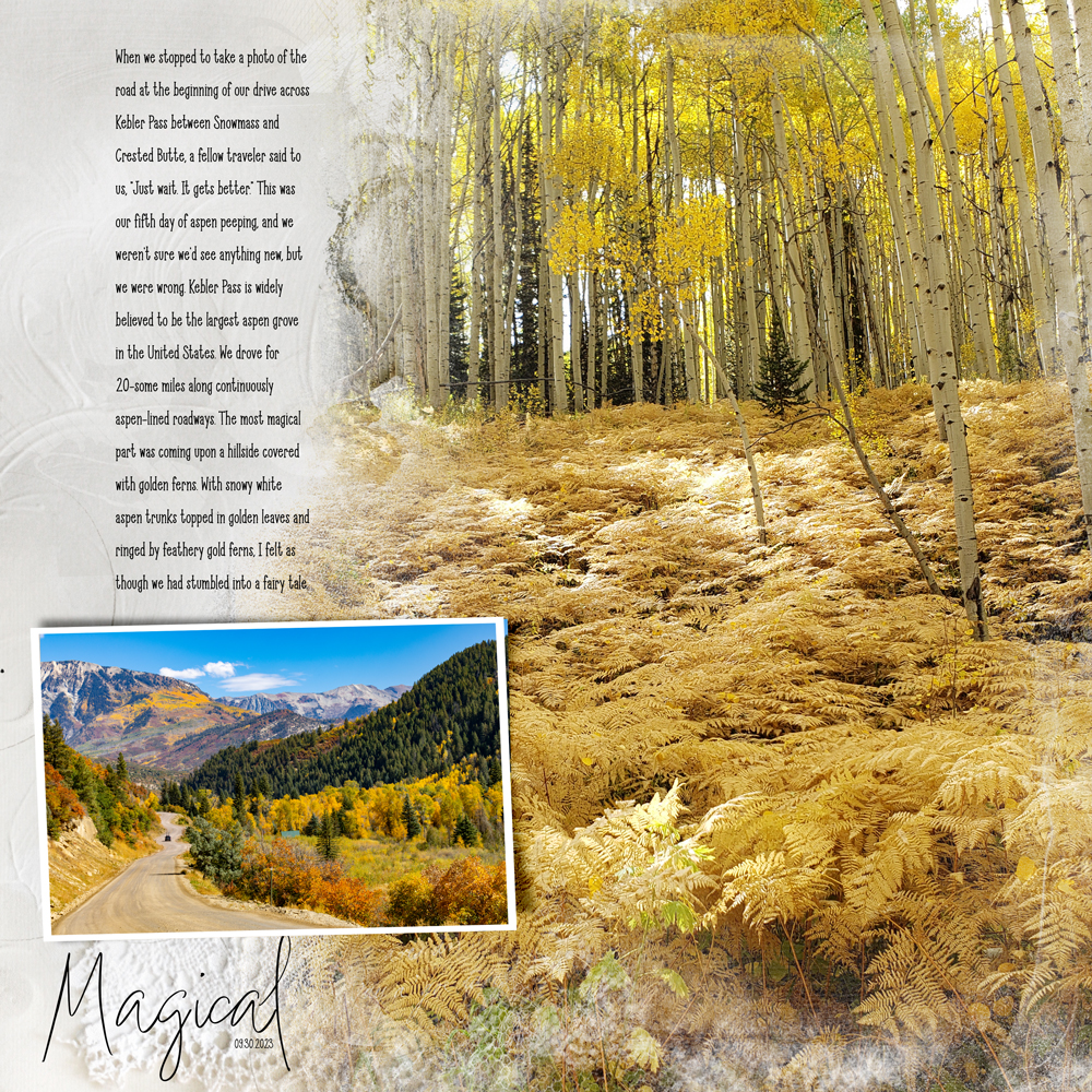 Sample Layout from the Gallery