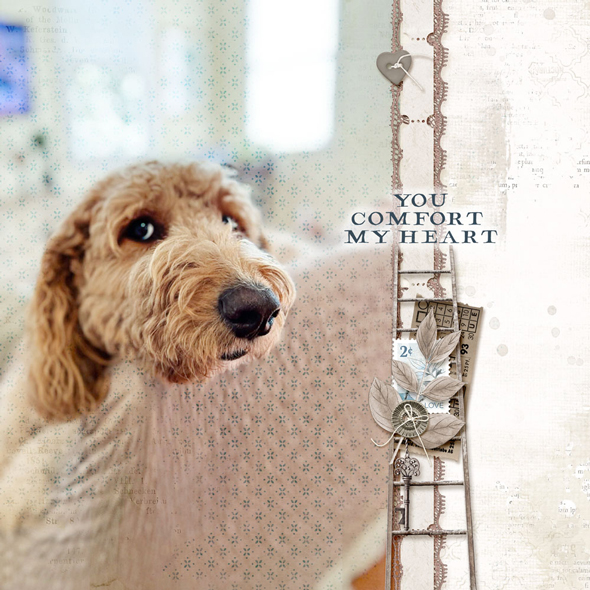 Sample Layout from the Gallery