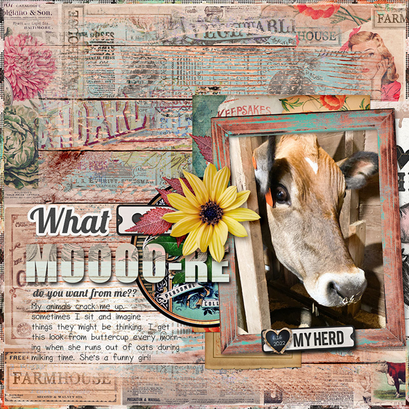 Sample Layout from the Gallery