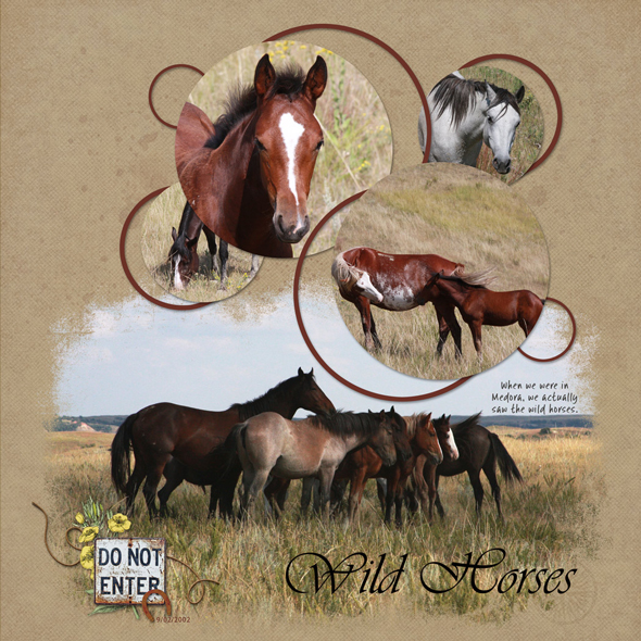 Sample Layout from the Gallery