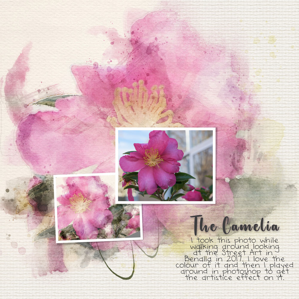 Sample Layout from the Gallery