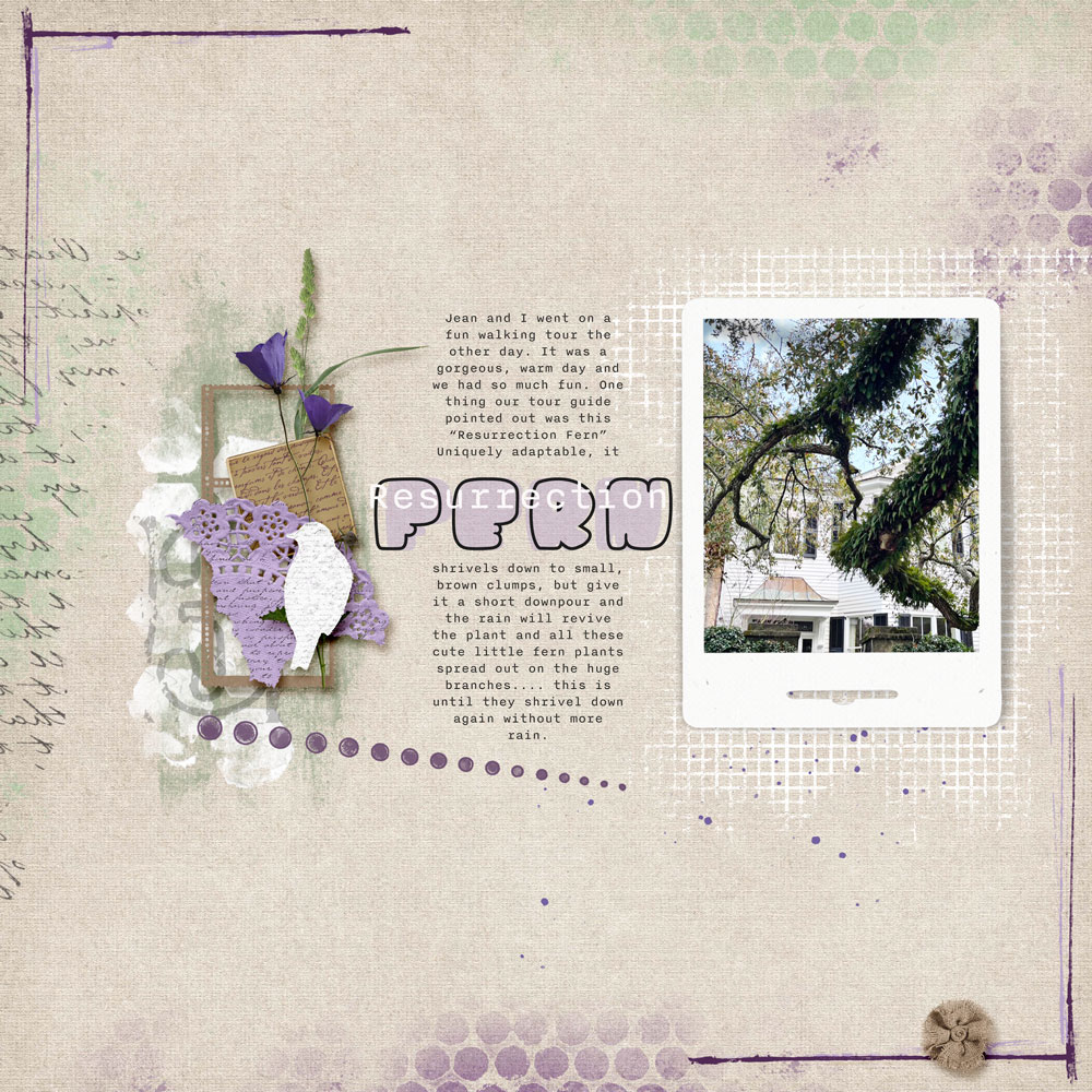Sample Layout from the Gallery