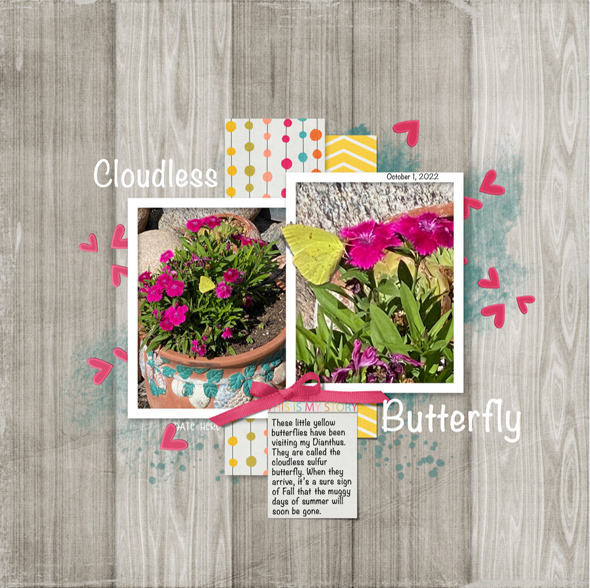 Sample Layout from the Gallery