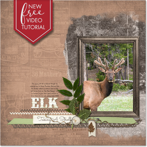 New FREE Video Tutorial