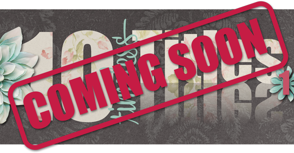 Coming Soon: Summer School