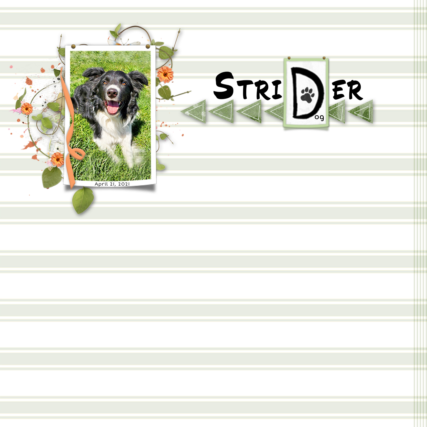 Sample Layout from the Gallery