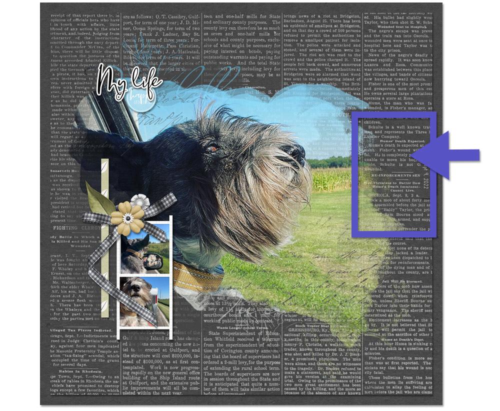 A page that would be dificult to add journalling to because of the dark background with white text