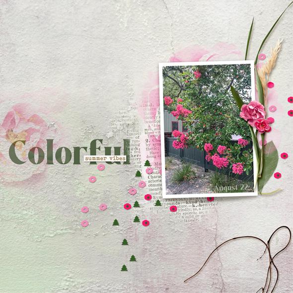 Sample Layout from the Gallery