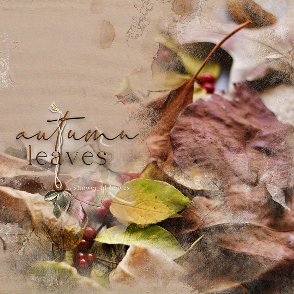 Sample Layout from the Gallery