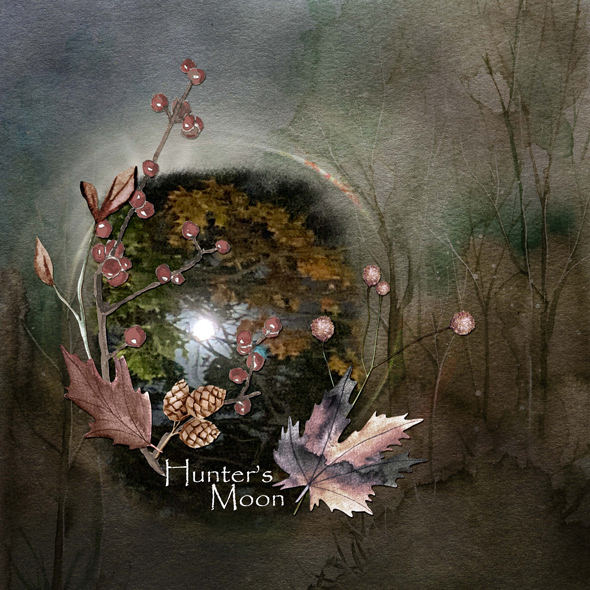 Sample Layout from the Gallery