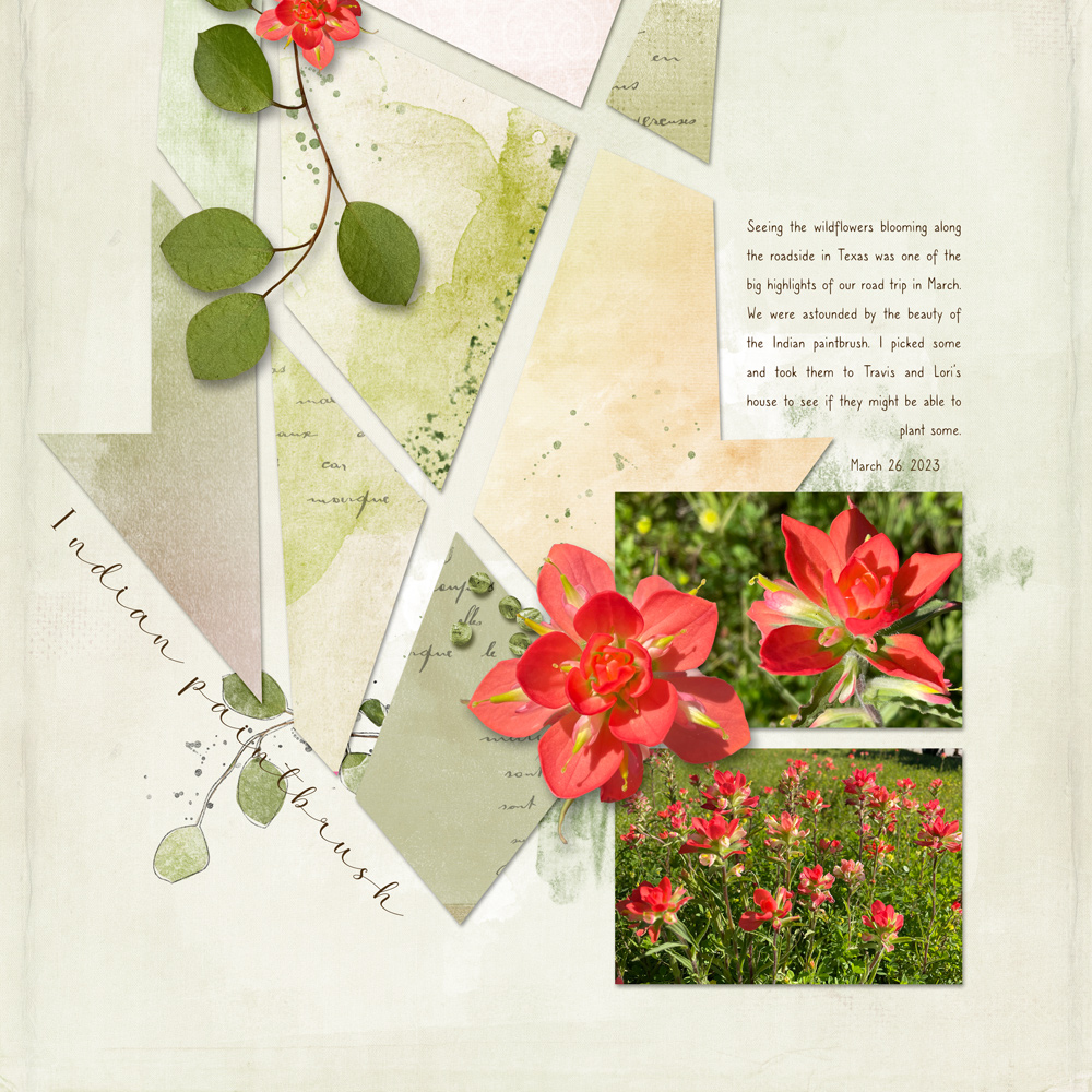 Jen's Page