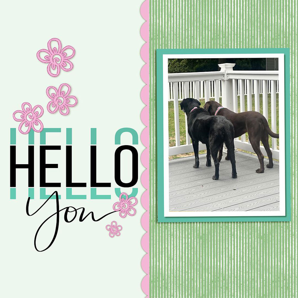 Sample Layout from the Gallery