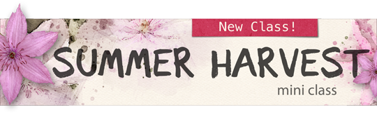 Save on Summer Harvest