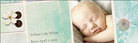 Quick Photo Cropping Trick