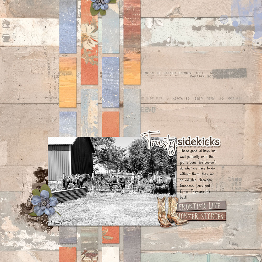 Sample Layout from the Gallery
