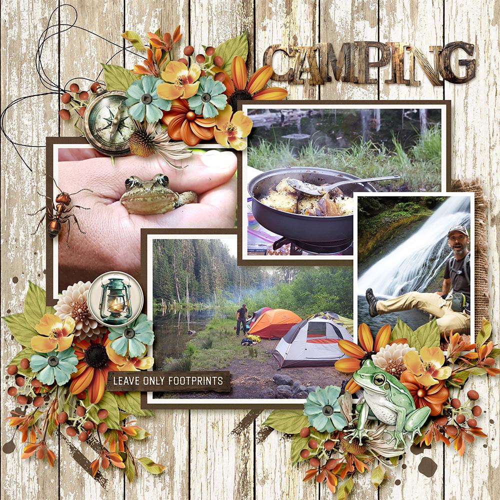 Sample Layout from the Gallery