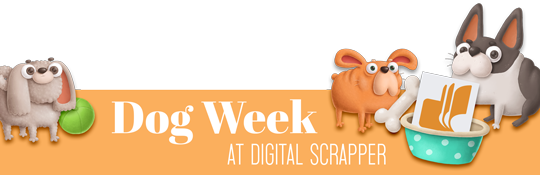 Dog Week in Community