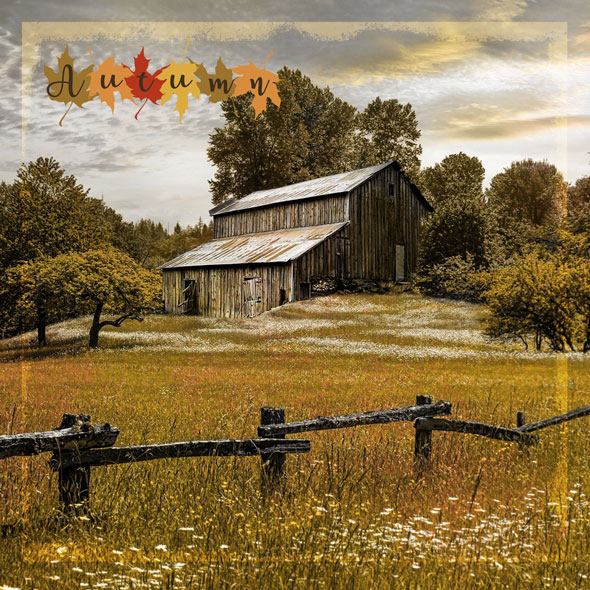 Sample Layout from the Gallery