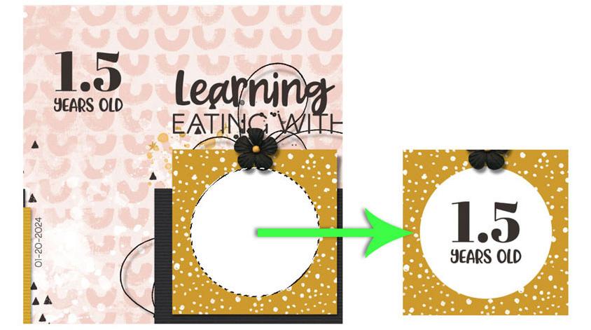 Tutorial Highlight.