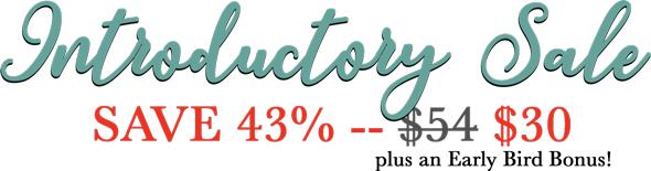 Introductory Sale