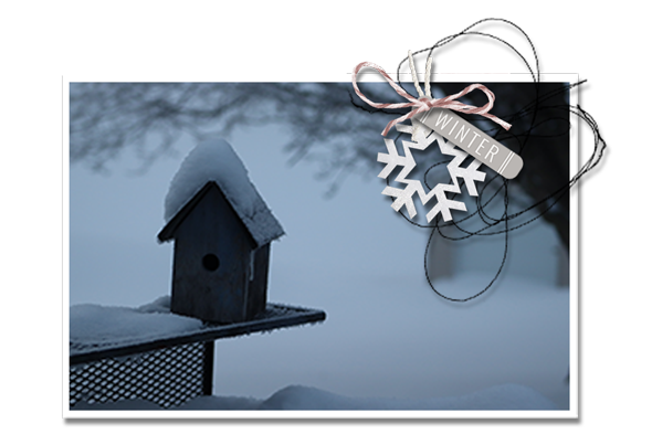 Sample image with problems