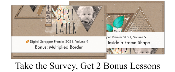 Bonus for Completing Survey