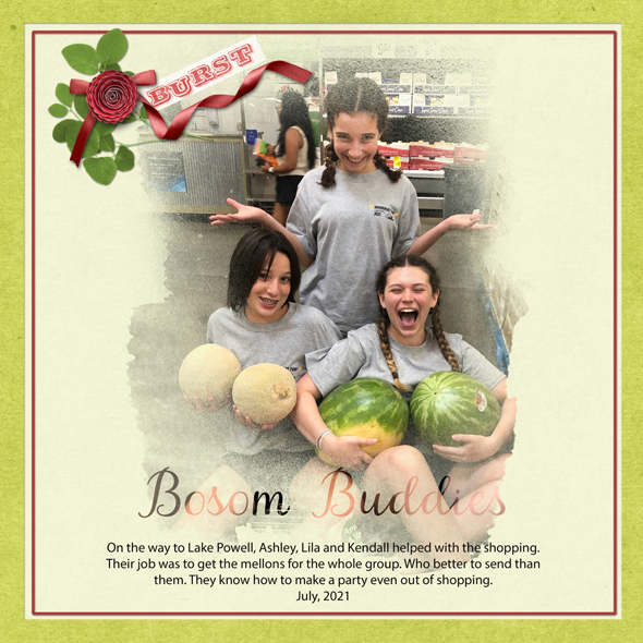 Sample Layout from the Gallery