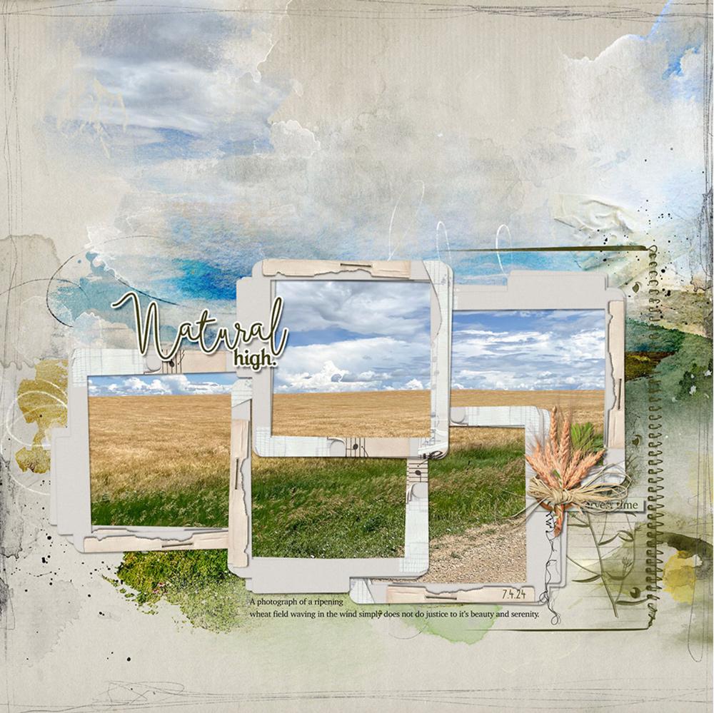 Sample Layout from the Gallery
