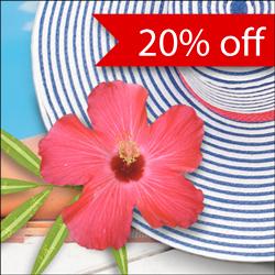 How StrongIs Your Password