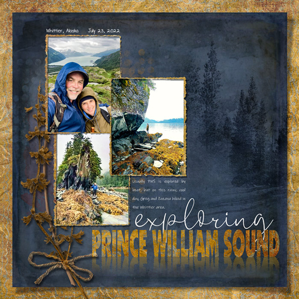 Sample Layout from the Gallery