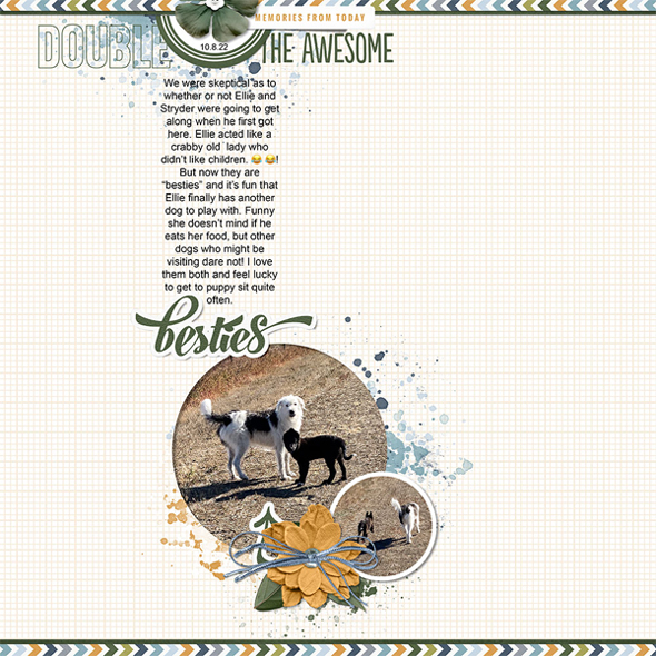 Sample page with a problem