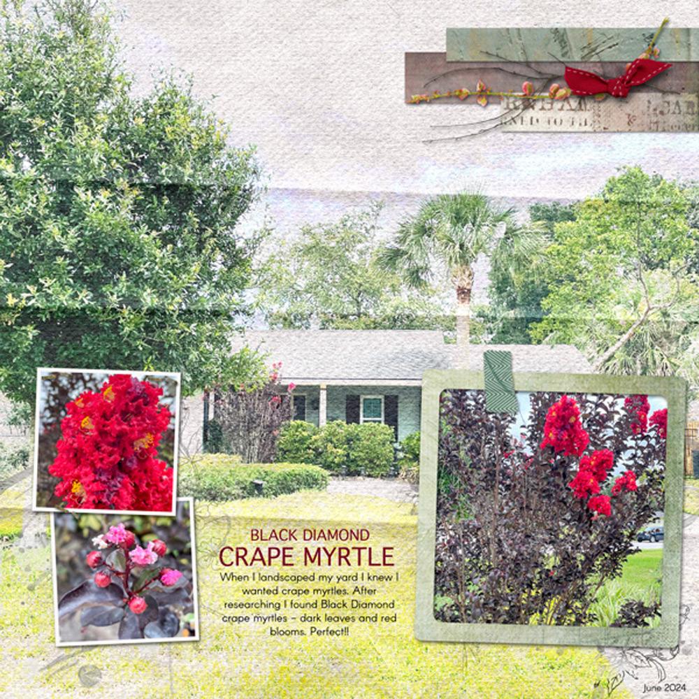 Sample Layout from the Gallery