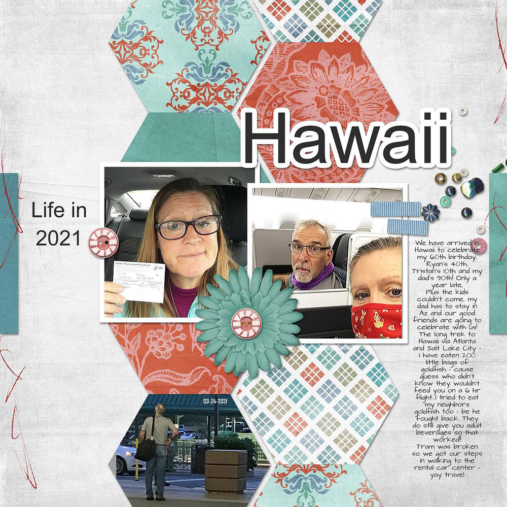 Sample Layout from the Gallery