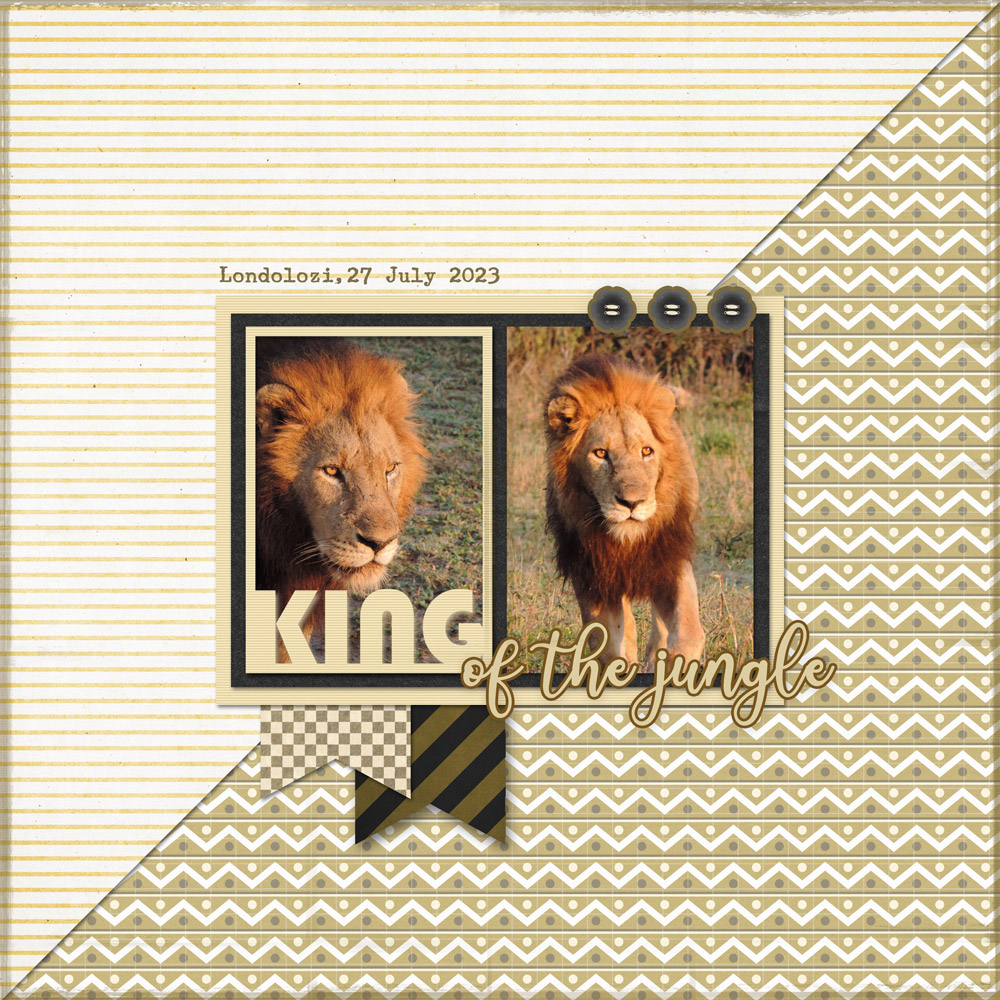 Sample Layout from the Gallery
