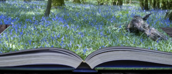 Upload an image about the course