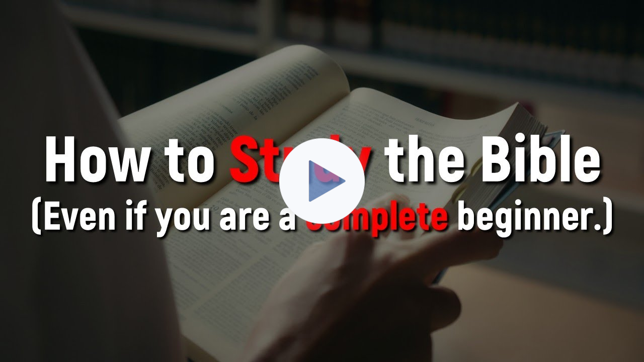 How to Study the Bible Even If You Are a Complete Beginner