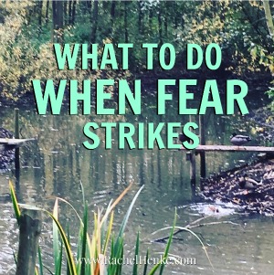 The Inside Out Nature of Life