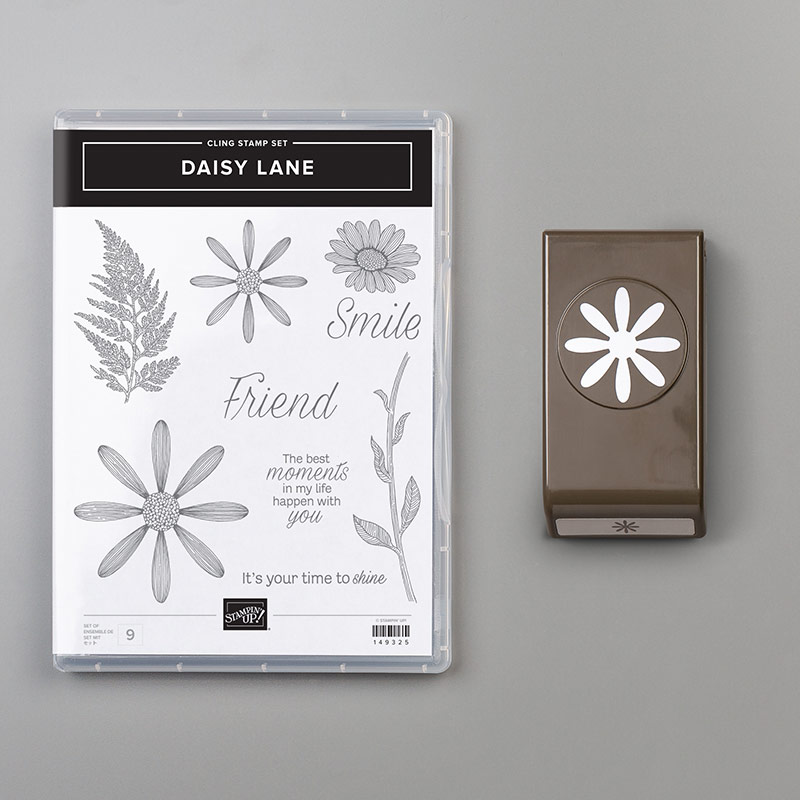 Daisy Lane Bundle