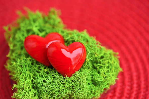 Valentines Day Sale